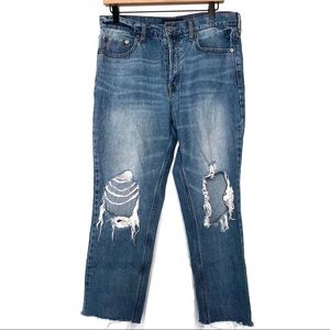 Distressed Aero Cheeky Ankle Skinny Jeans 10